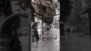 اغاني عراقية حبيبي اليوم الك حنيت بطيء اغاني حب تيك توك اني ضايع بفرقاك ريمكس حزين 