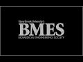 Biomedical Engineering Society