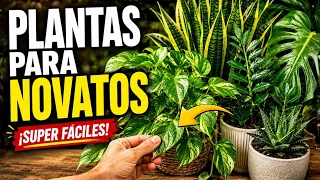 ¡INDESTRUCTIBLES! Las PLANTAS MÁS FÁCILES de Cuidar para PRINCIPIANTES 🌿 | Plantas de Interior
