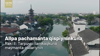 Allpa pachamanta qispiyninkuna Raki II: Tarpuypi llamkaqkuna maymanta qallariynin