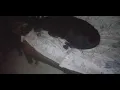 sleeping beauty. cheeku poo doggie doo