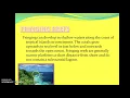 Coral Reefs Caribbean Geo Def types and importants