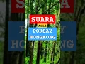 Download Lagu SUARA BURUNG POKSAY HONGKONG GACOR ❗