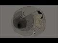 Sy - Knugra