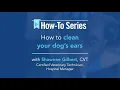 AskVCA - How to clean your dog s ears