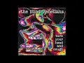 Download Lagu The Blind Venetians - Turn Your Head And Cough (1991) (FULL ALBUM - CD)