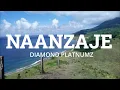 NAANZAJE-DIAMOND PLATNUMZ-VIDEO LYRICS