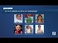 Tennessee s oldest active Amber Alert dates back more than a decade