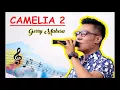 Lagu Gerry Mahesa - Camelia  (New Pallapa) live Jombang 2017