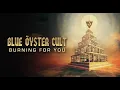 Download Lagu Blue Öyster Cult \