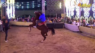 اسمع كسر العيون واجب من العالمي حماده ابو الحاج  مع الحصان العربي فرحه عائلة خليل دندنها