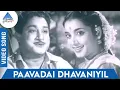 Download Lagu Nichaya Thaamboolam Tamil Movie Songs | Paavadai Dhavaniyil Video Song | TM Soundararajan | MSV TKR