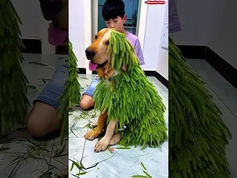 He Gave His Dog a Leafy Makeover! 😂🐶