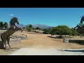 Yucaipa ca For Lease