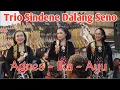 Download Lagu Gedruk Kembang RaweTrio Sindene Dalang Seno ,Agnes ,Ika, ayu