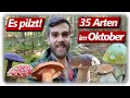 Download Lagu Pilze ohne Ende | Steinpilze, Fliegenpilze, Krause Glucke | 35 Arten im Oktober 2025