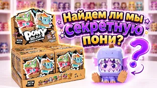 🦄MY LITTLE PONY BOX PLAY ищем редкую пони 