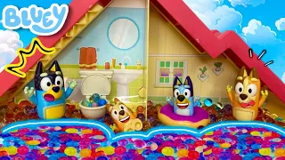 Explosiรณn de Orbeez en Casa de Bluey ๐๐