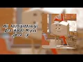 ben aptal mıyım (speed up)