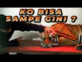 Download Lagu ALSHAD SAMPE NEKAT MASUK KANDANG ! KONDISI JINORA SEMAKIN PARAH