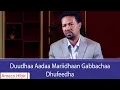 Download Lagu AMECO HIBIR: Duudhaa Aadaa Mariidhaan Gabbachaa Dhufeedha 03/11/2017