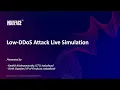 Low-DDoS Attack Live Simulation