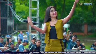 cinta dan air mata tiara amora new pallapa sewindu plat k 2024