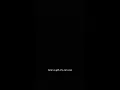 Cat gif