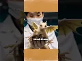 Download Lagu Pháp sư Trung hoa đã tạo ra loài rồng có cánh sao?😱😱