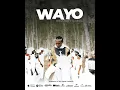 Mbosso - Ft Ya Levis - Wayo (Official Audio & Lyric Video)