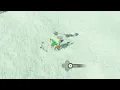 After killing 30 lynels I finally get the guts