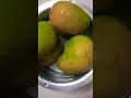 Download Lagu amba pikato ras gullato #Marathi song 🥭😋😜akshy tritiya special aamras👌🏻😋