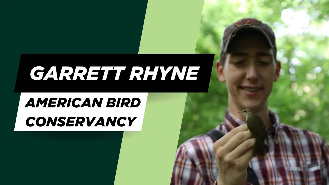 Badgerland Birding Podcast Ep 104 - Tracking Birds using Motus - With Garrett Rhyne