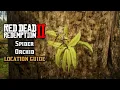 Spider Orchid - Location Guide Red Dead Redemption 2