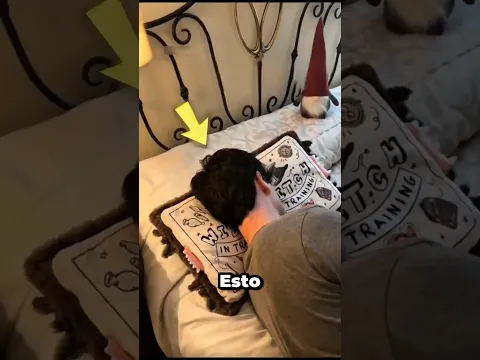 ¿Por qué esta almohada se cierra de repente? 😱