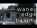 Download Lagu Shed Skin 🏠 Waney Edge Style 😎: Going off grid in 2025