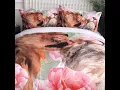 The best Valentine s Day gift-Couple lion bedding set