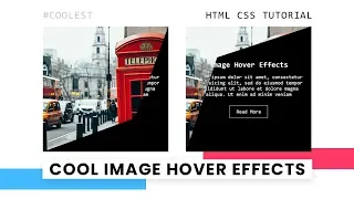 CSS Image Hover Effects Html CSS Clip-path Hover Effect