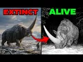 15 Extinct Animals That Might STILL Be Alive Right Now
