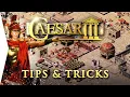 Caesar III 10 Basic Tips Tricks Guide
