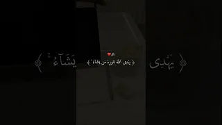 نور على نور القارئ شريف مصطفى قرآن كريم 