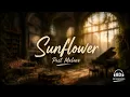 Post Malone - Sunflower 8D