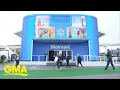 Why Walmart is investing in physical stores