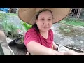 Download Lagu Pengawa Lemai Indai Bacang Ngupas Ujung Bilik//Ngaga Kuih Boom