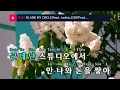 BLAME MY CIRCLE(Feat. Justhis,오왼)(Prod. GRAY) - pH-1 (KY.24795) / KY Karaoke