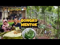 Lagu BIKIN JAJAN BONGKO MENTOK LEGEND || PAK B BIKIN KANDANG AYAM