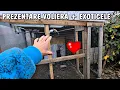 Lagu Viața la țară - Turul Noilor Voliere pentru păsări + ce am băgat în ele?