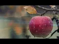 Morning Flute Music | Himalayan Flute Music | Mountain Flute(बाँसुरी) | Meditation Music