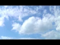 All The Wild Horses (Ray Lamontagne)