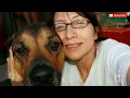 ABC New 2025 What Happened to the McStays Documentary True Crime